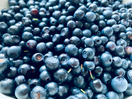 Blueberries background fresh summer harvest a lotの写真素材