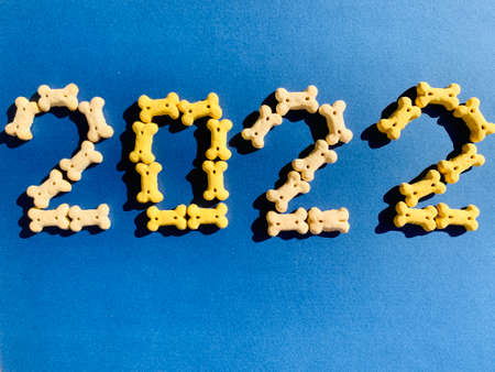 Figure 2022 from bones dog food on blue backgroundの写真素材