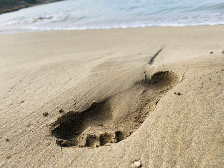 big footprints on sand beach along the edge of sea - vintage retro styleの写真素材