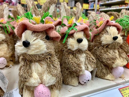 cute Easter Bunny rabbits with carrot in the shopの写真素材