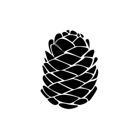 Pine cone. line drawing. Black and white illustration. Vector isolatedのイラスト素材