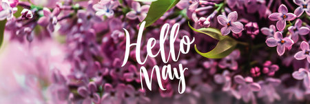 Hello May hand lettering card. Spring lilac flowers texture, selective focus, blurred background.の素材