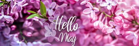 Hello May hand lettering card. Spring lilac flowers texture, selective focus, blurred background.の素材
