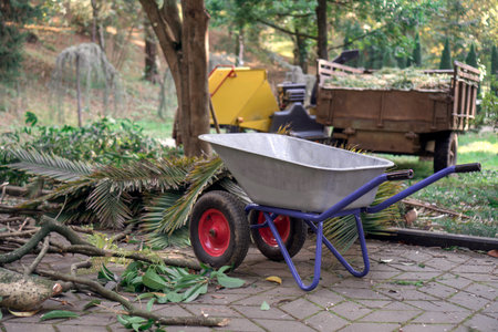 Trolley in the subtropical garden near a pile of branches and palm leaves.の写真素材