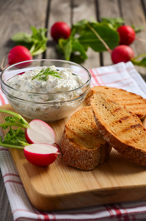 Cottage cheese cream with dill and garlic with toasts and radish.の写真素材