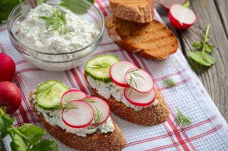 Cottage cheese cream with dill and garlic with toasts, radish and cucumber.の写真素材
