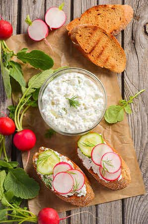 Cottage cheese cream with dill and garlic with toasts, radish and cucumber.の写真素材