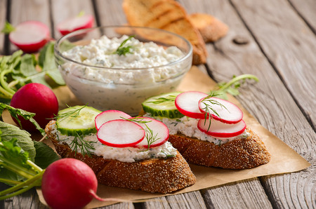Cottage cheese cream with dill and garlic with toasts, radish and cucumber.の写真素材