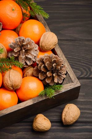 Fresh tangerine clementine with nuts and cones in a wooden tray on a dark wooden background.の写真素材