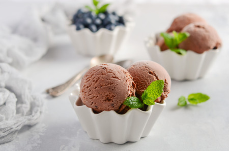 Chocolate ice cream with blueberries on a gray concrete background, selective focus.の写真素材