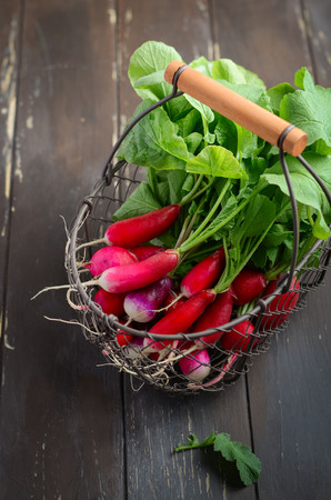 Bunch of fresh colorful radishes on old rustic wooden table, selective focus.の写真素材