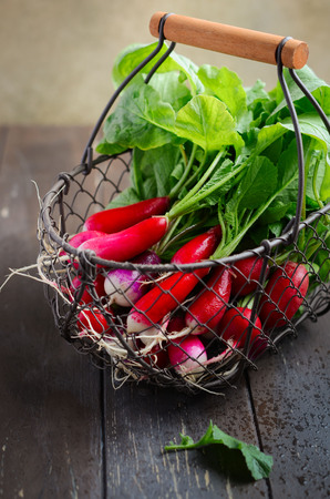Bunch of fresh colorful radishes on old rustic wooden table, selective focus.の写真素材