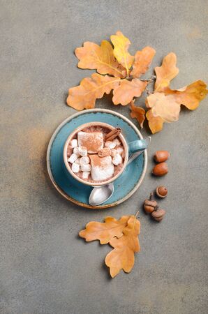 Hot Chocolate with Marshmallows and Autumn Leavesの写真素材