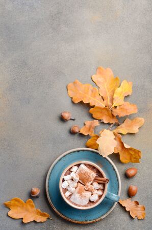 Hot Chocolate with Marshmallows and Autumn Leavesの写真素材