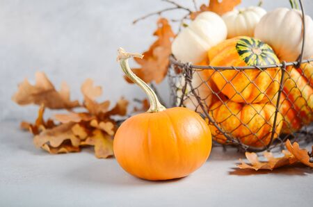Autumn background with mini pumpkins in a basket on a gray concrete background.の写真素材