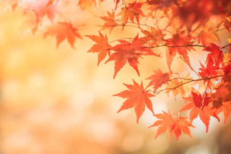 Beautiful maple leaves on blurred background. Generative AI.の素材