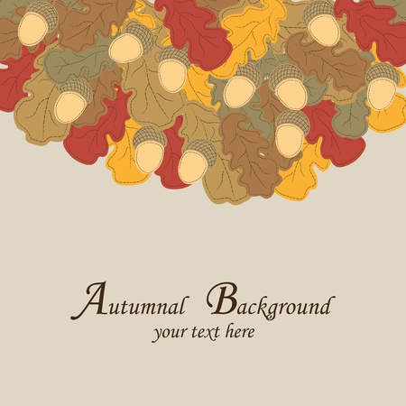 Autumn background. Multi-colored oak leaves and acorns.のイラスト素材