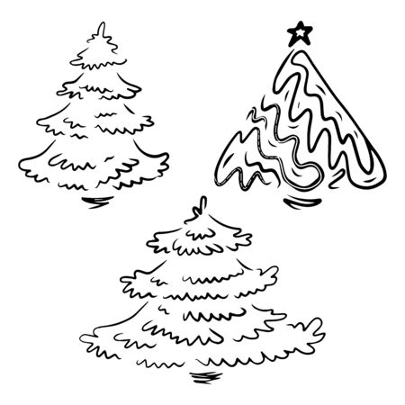 Pine Tree illustration with backgroundのイラスト素材