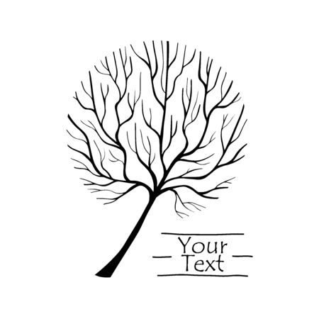 Vector Tree silhouette. Hand drawn line illustration. Branches and twigs. EPS 8のイラスト素材