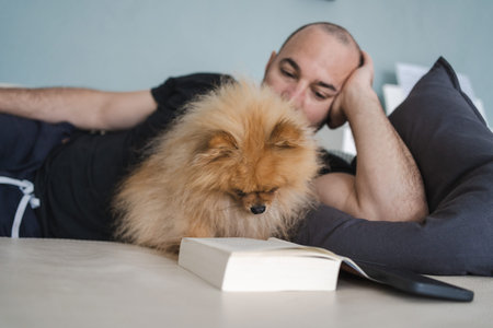 Pomeranian little fluffy dog reading book on the couch with ownerの写真素材
