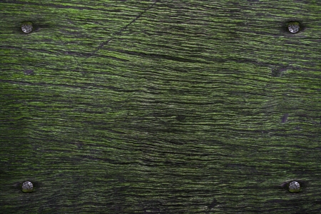 nails in wood with fake mossの写真素材