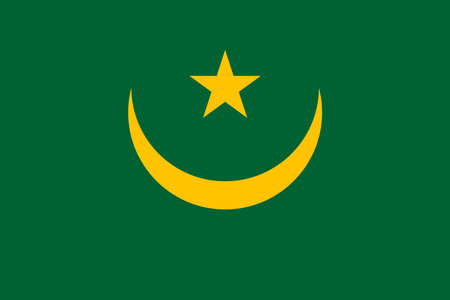 original and simple Mauritania flag isolated vector in official colors and Proportion Correctlyのイラスト素材