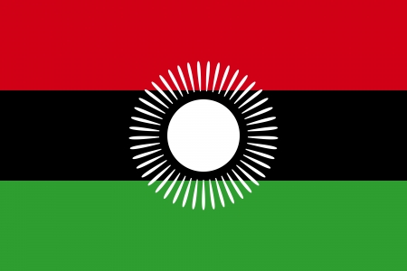 original and simple Malawi former flag  2010-2012  isolated vector in official colors and Proportion Correctlyのイラスト素材