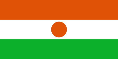   Republic of Niger flag  のイラスト素材