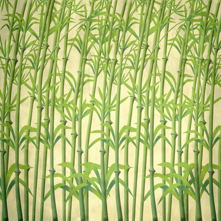  illustration of bamboo branchesの写真素材