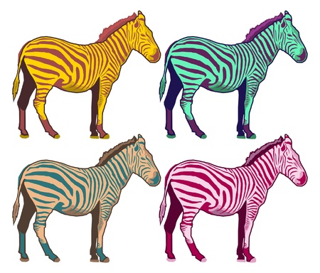 Colorfull Zebra collection - pop art color vector setのイラスト素材