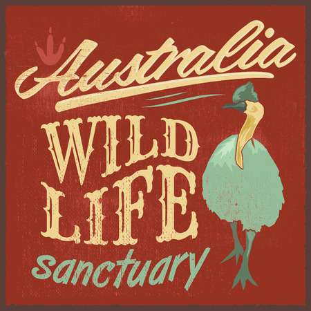 Vintage T  Shirt design  Australian Wild Life vector print illustrationのイラスト素材