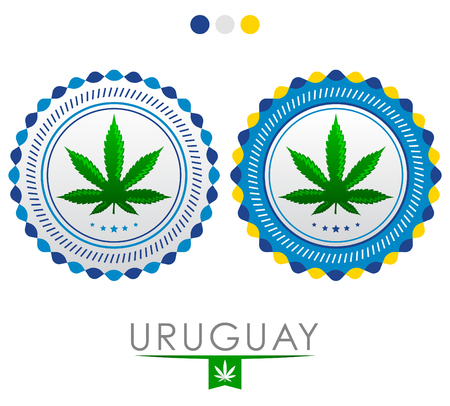 Uruguay marijuana emblem - vector cannabis seal of approval with the colors of the flag of  Uruguay.のイラスト素材