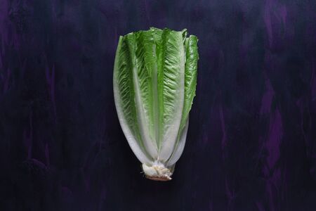 Lettuce Fresh Vegetable on Hand Painted Canvasの写真素材
