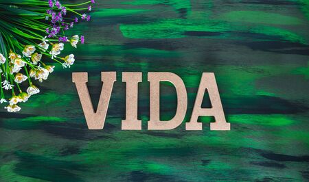 Vida, Life spanish text made with Wooden letters on Hand painted Canvas.の写真素材