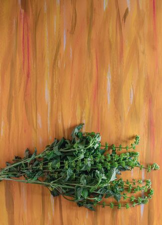 Basil Herb on Yellow Hand Painted Canvasの写真素材