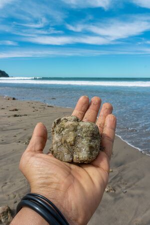Hand Male Holding a Sea Stone on Virgin Mexican Beach.の写真素材