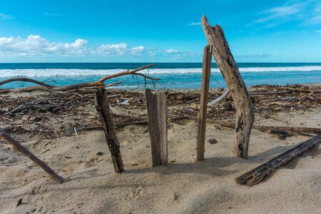 Beach with Rubble after a Hurricane in Mexico.の写真素材
