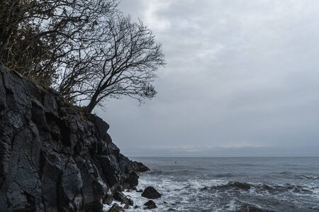 Melancholy Beach Scene, Cloudy sky and Dry Treesの写真素材