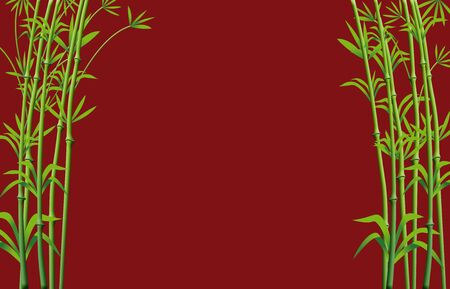 Bamboo Branches Background Ready for design.の写真素材