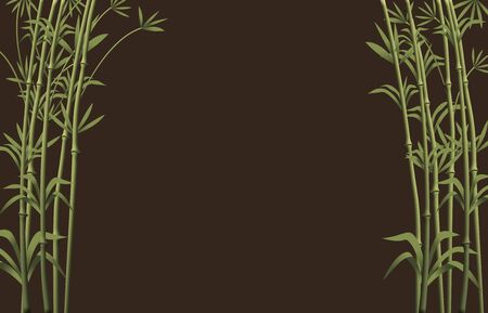 Bamboo Branches Background Ready for design.の写真素材