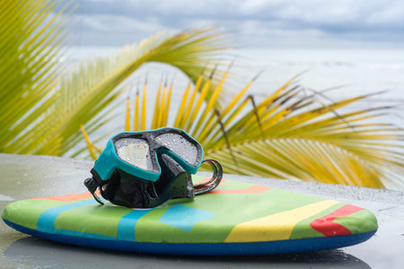 Snorkeling mask and flip flops on the beach with palm leavesの写真素材