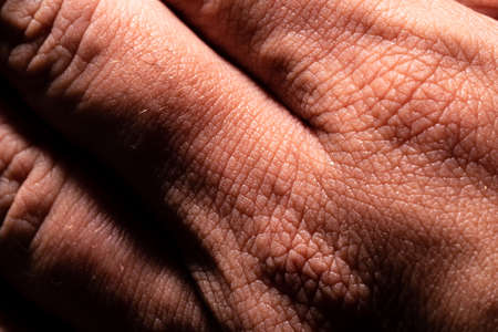 Photo showing super detailed skin texture. Fingers macro photography. High-resolution image.の写真素材