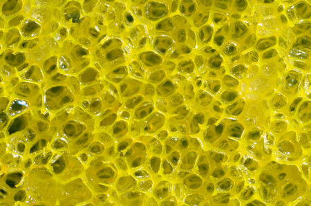 Abstract photo in macro photography. Close up on a sponge, making it possible to see its geometric...