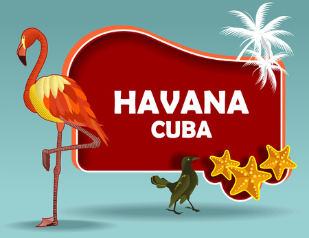 havana Cubaのイラスト素材