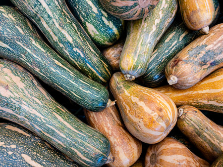 Fresh clean zucchini on the market.
