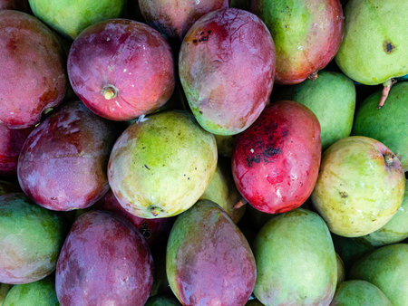 fresh raw sweet mango heap as background on market.