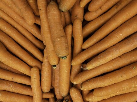 Fresh clean carrots without foliage on the market.の写真素材
