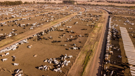 Aerial image of Sugar and Ethanol Plant.
