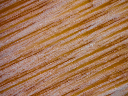abstract background of the texture of a piece of wood closeupの写真素材
