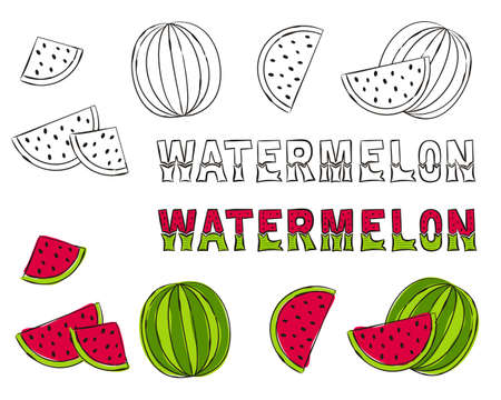 Set of hand drawn watermelon icons. Black and white contours for coloring. Colored watermelons and lettering for summer design and decoration of posters, cards and books. Vector illustration.のイラスト素材